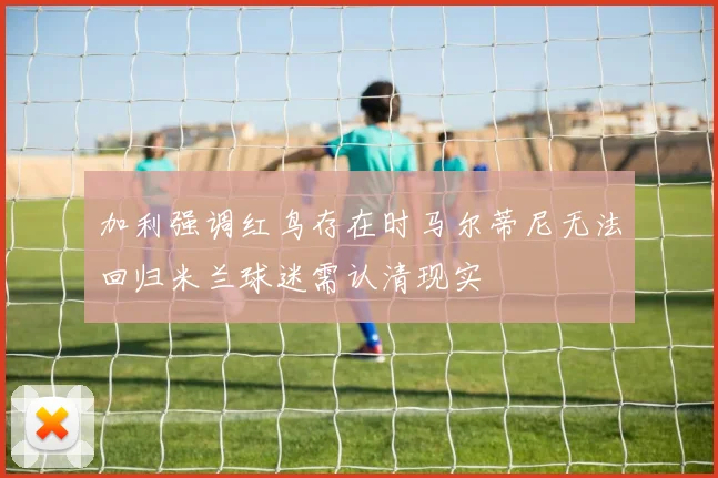加利强调红鸟存在时马尔蒂尼无法回归米兰球迷需认清现实