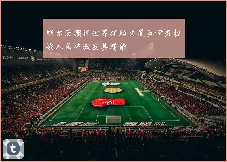 维尔茨期待世界杯助力复苏伊劳拉战术或将激发其潜能